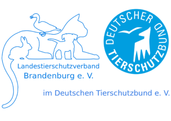 Tierschutzverband Brandenburg e.V