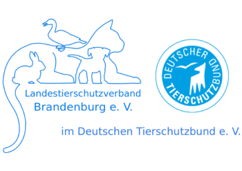 Tierschutzverband Brandenburg e.V